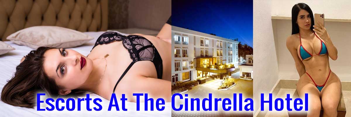 Escorts At The Cindrella Hotel in Siliguri