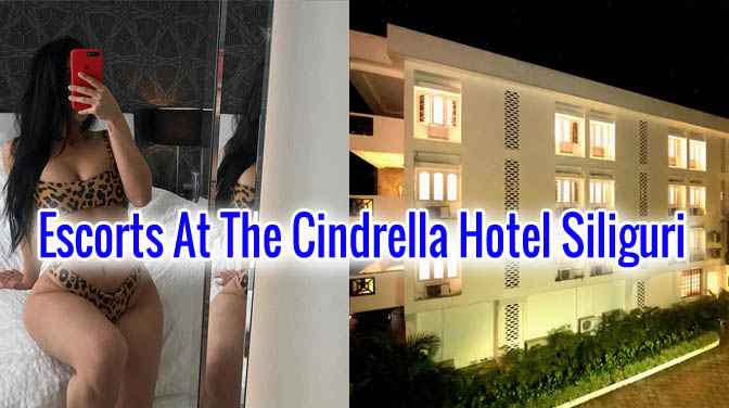 Escorts At The Cindrella Hotel