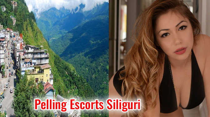Pelling Escort Siliguri