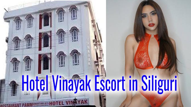 Hotel Vinayak Escort Service in Siliguri