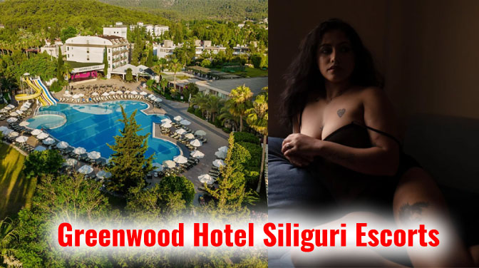 Greenwood Hotel Siliguri Escorts premium companion in a luxury hotel suite setting highlighting high-profile escort service in Siliguri.